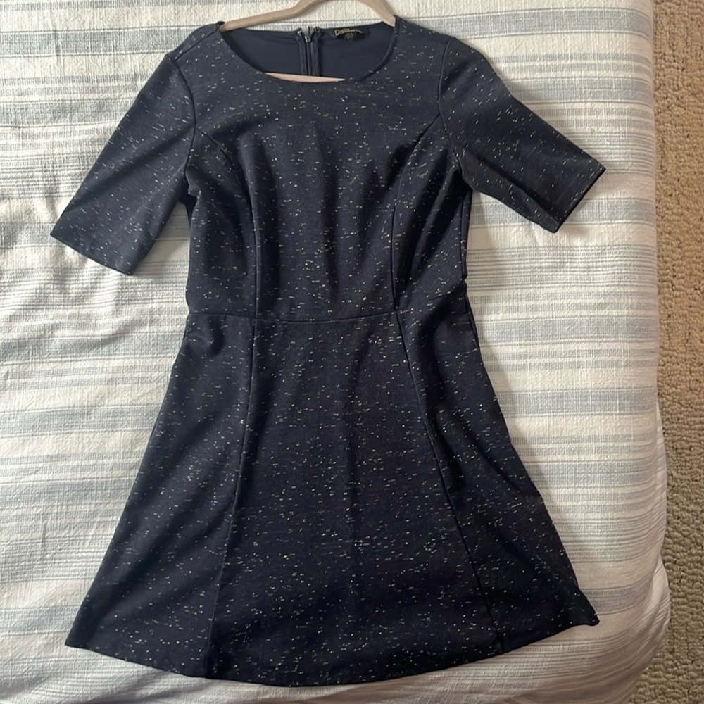 Fit and flare dress